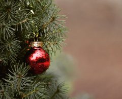 VIDÉO : 3 conseils pour un sapin de Noël écolo