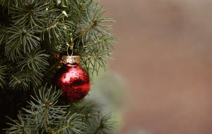 VIDÉO : 3 conseils pour un sapin de Noël écolo