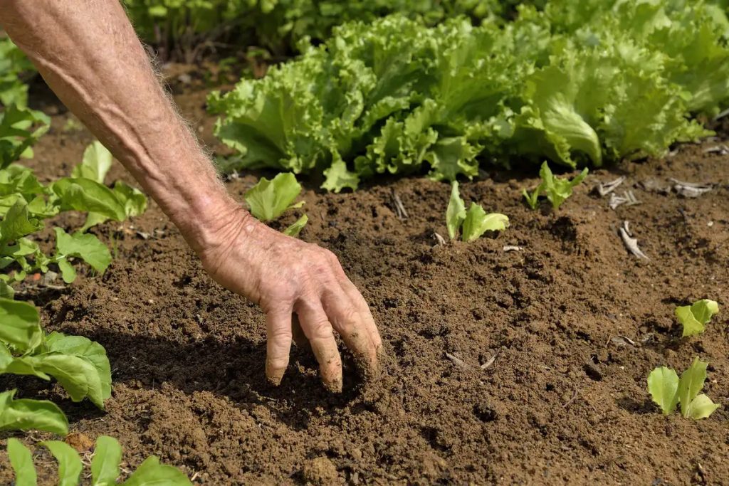 Sélectionner les pratiques agricoles qui permettront d’accroître le stock de carbone des sols. Jansen Lube/Flickr, CC BY