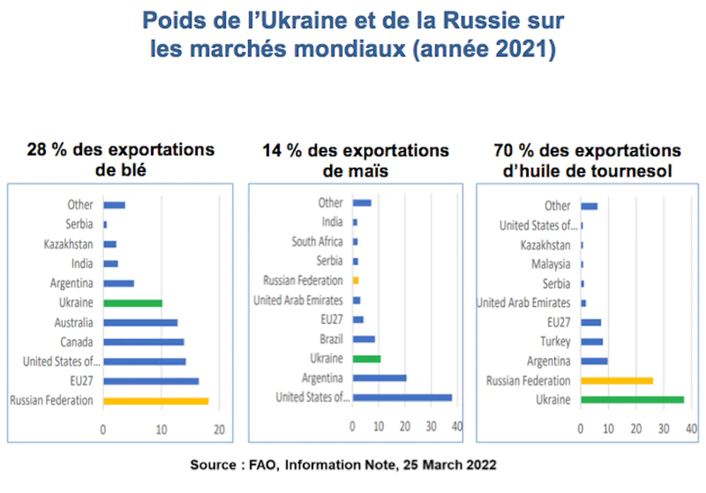 Poids de l'Ukrain et de la Russie sur les marchés mondiaux (2021). C. de Perthuis, CC BY-NC-ND