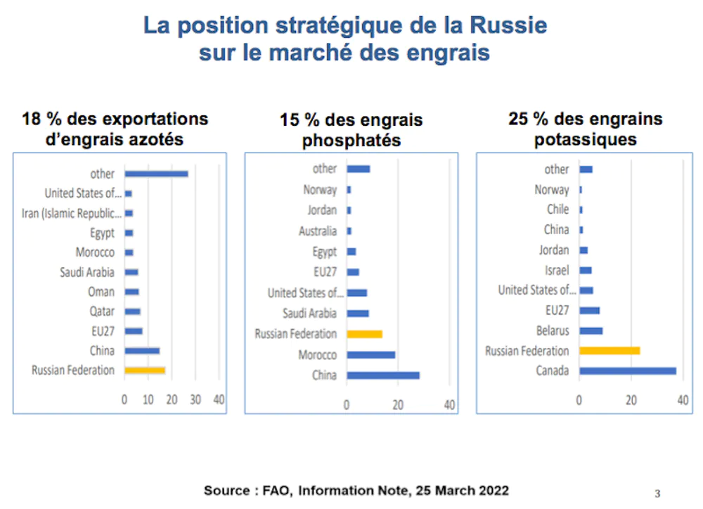 La position stratégique de la Russie sur le marché des engrais. C. de Perthuis, CC BY-NC-ND