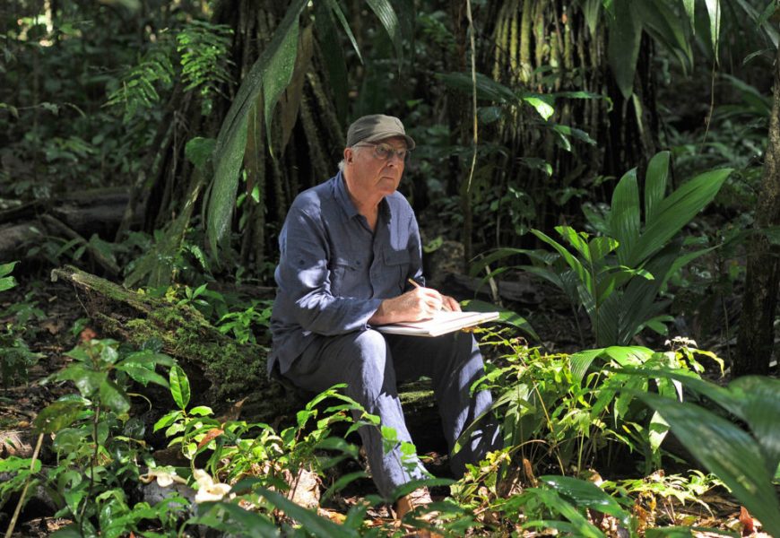 Francis Hallé en 2012 dans la forêt amazonienne.