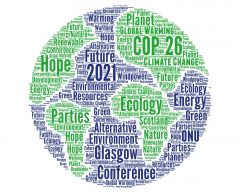 Réchauffement climatique :  lexique pour tout comprendre à la COP27