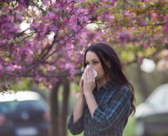 Allergies au pollen : air pollué et réchauffement climatique… le cocktail explosif