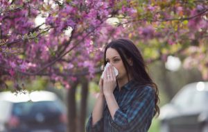 Allergies au pollen : air pollué et réchauffement climatique… le cocktail explosif