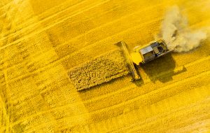 Nouveaux OGM : de quoi s’agit-il ?