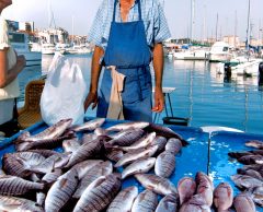 “Dépendance au poisson” : pourquoi la France importe les 2/3 de ce qu’elle consomme