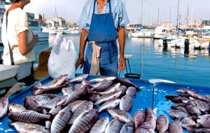 « Dépendance au poisson » : pourquoi la France importe les 2/3 de ce qu’elle consomme