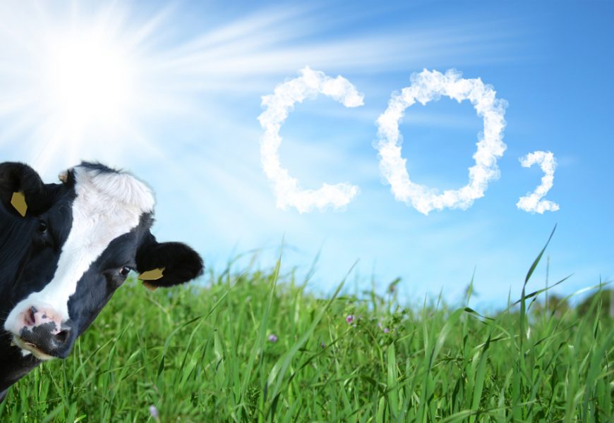 Avant de prendre de nouveaux engagement lors de la COP26, la France respecte-t-elle ses objectifs de réduction des émissions. ?