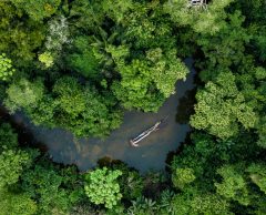 Amazonie : à la chasse aux médicaments du futur