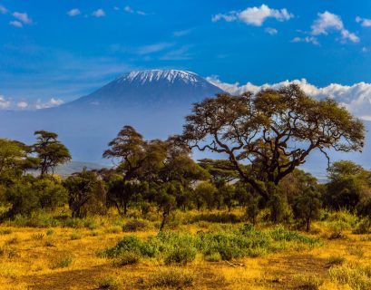 Le célèbre pic de neige du Kilimandjaro, en Afrique, subit lui aussi le réchauffement climatique.