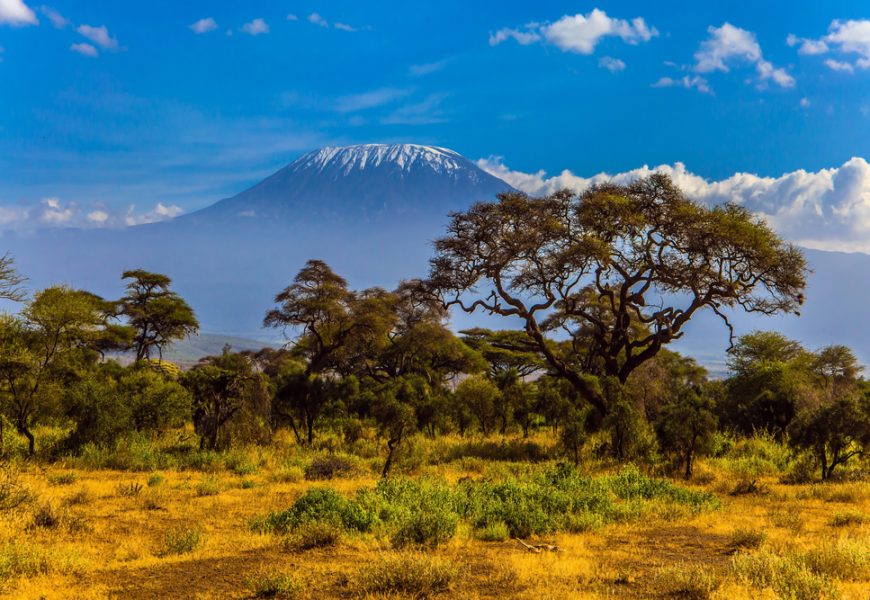 Le célèbre pic de neige du Kilimandjaro, en Afrique, subit lui aussi le réchauffement climatique.