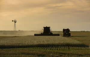 La blockchain à la rescousse des agriculteurs argentins