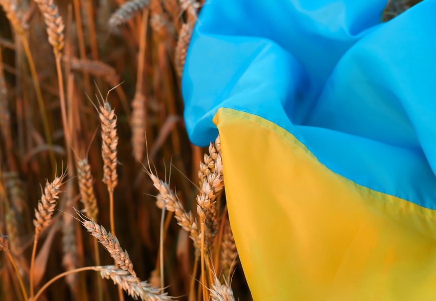 blé ukrainien