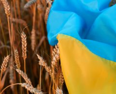 Guerre en Ukraine : vers une crise alimentaire mondiale ?