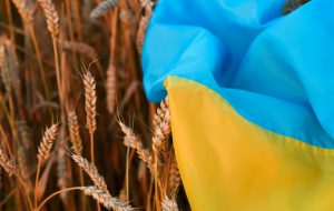 Guerre en Ukraine : vers une crise alimentaire mondiale ?