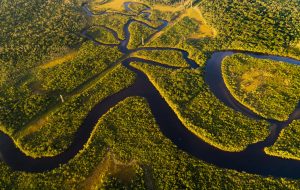 Perpetual Planet Amazon Expedition : 2 ans pour découvrir les secrets du fleuve Amazone