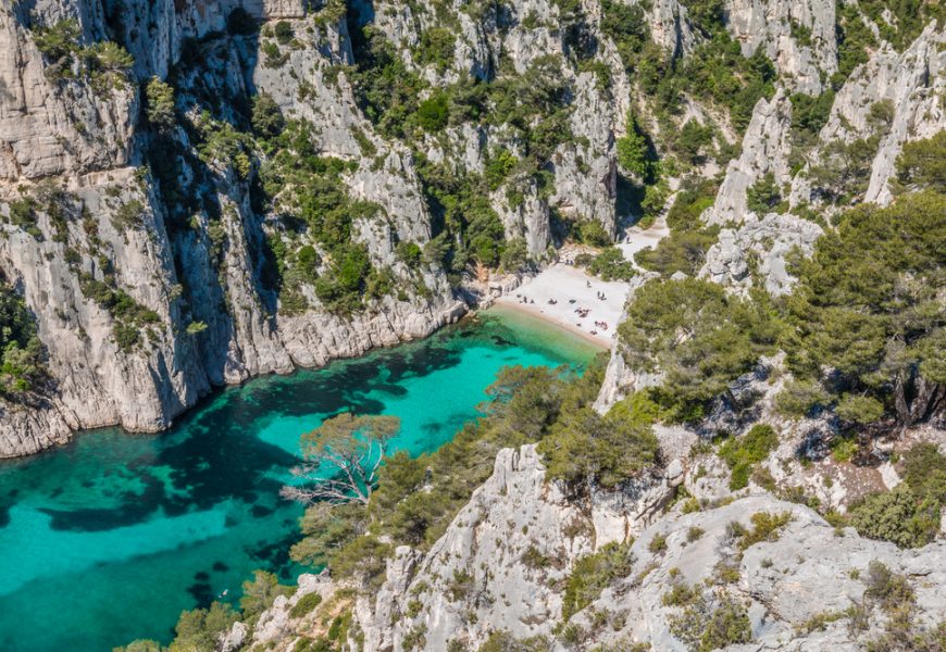 Le congrès de l'UICN se tiendra à Marseille en septembre 2021, une région elle-même très concernée par l'érosion de la biodiversité.