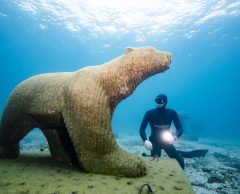Covid : plongez et visitez le musée subaquatique de Marseille